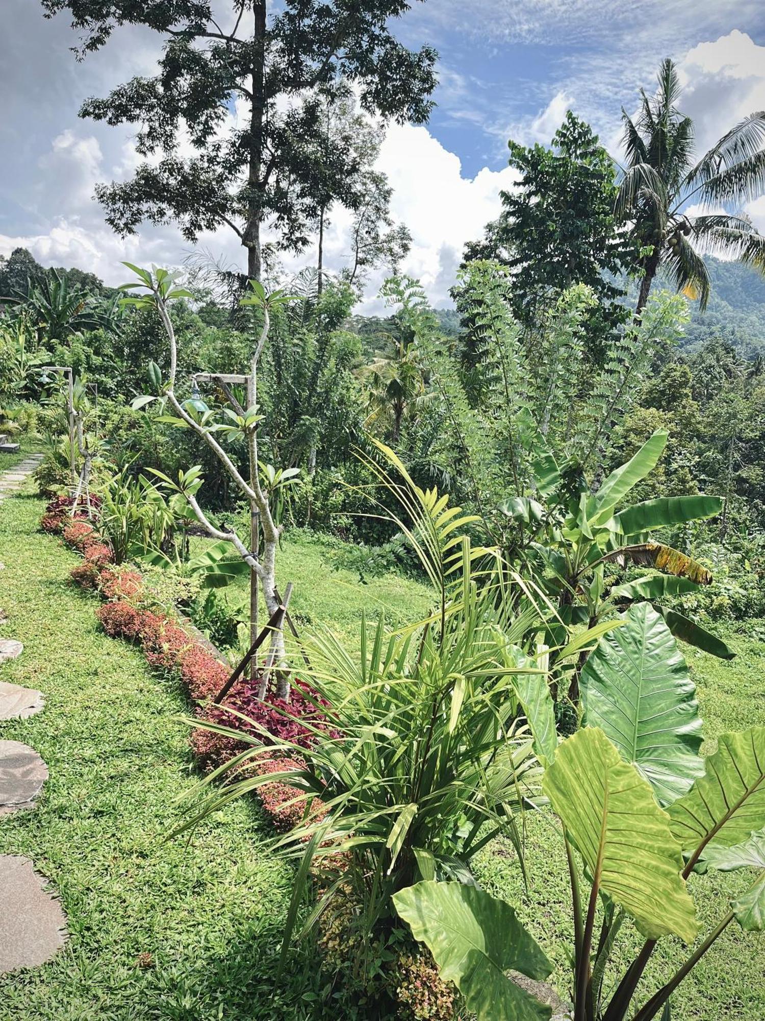 Papahan Bali 希德门 外观 照片